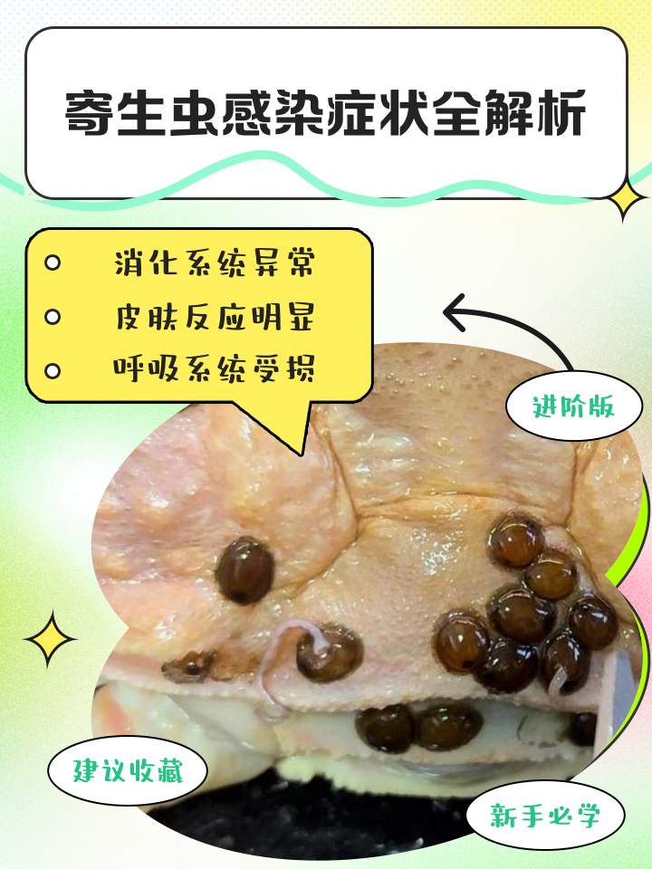 SEO寄生虫有什么危害