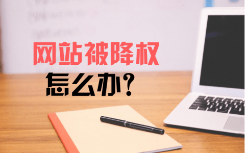 网站优化SEO中如何避免网站被搜索引擎降权_网站优化SEO中如何与其他营销手段结合