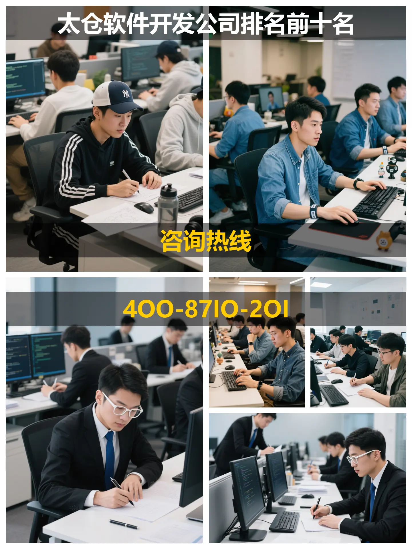 如何选择合适的SEO软件开发公司