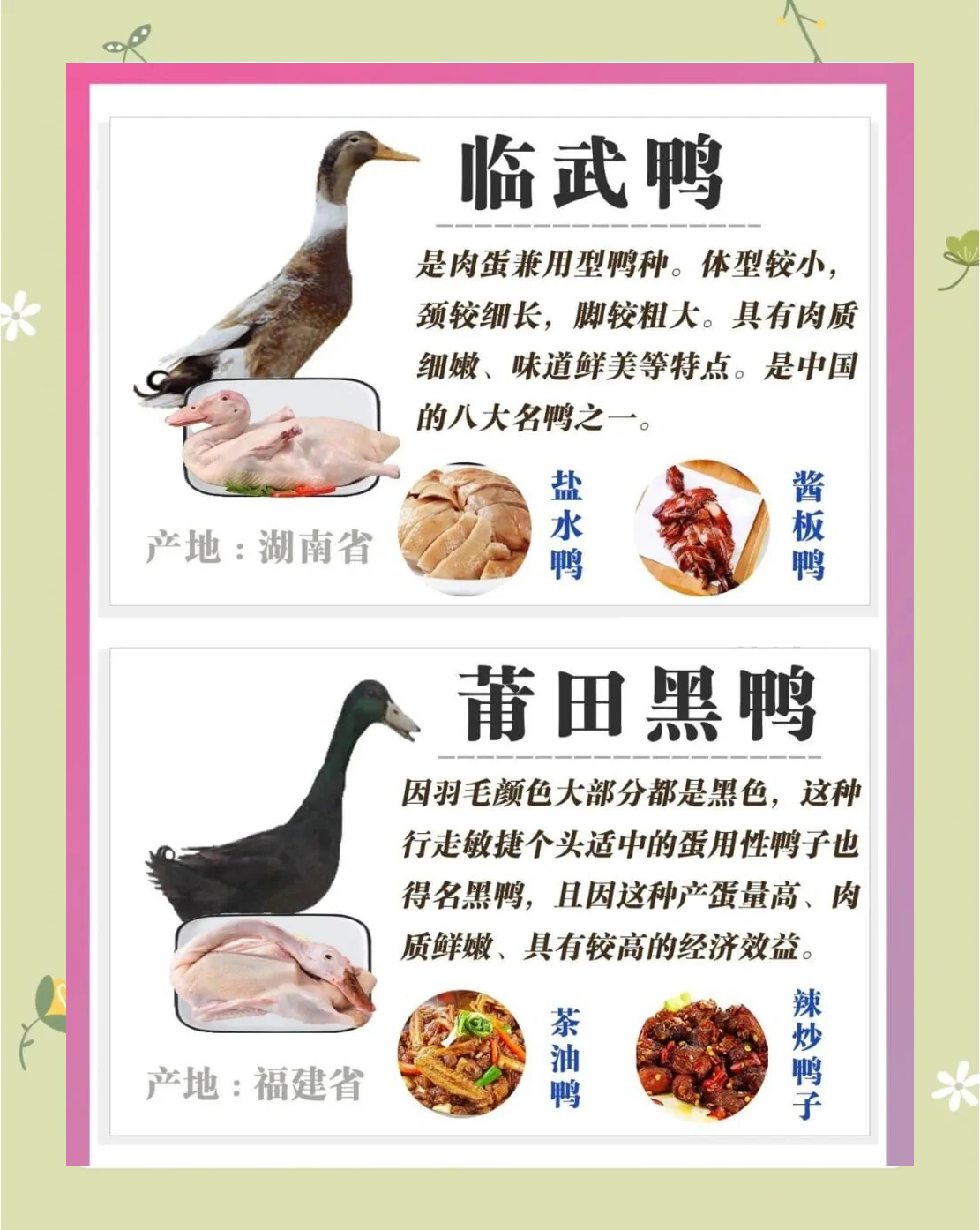 鸭肉和这五种食材搭配的功效与禁忌