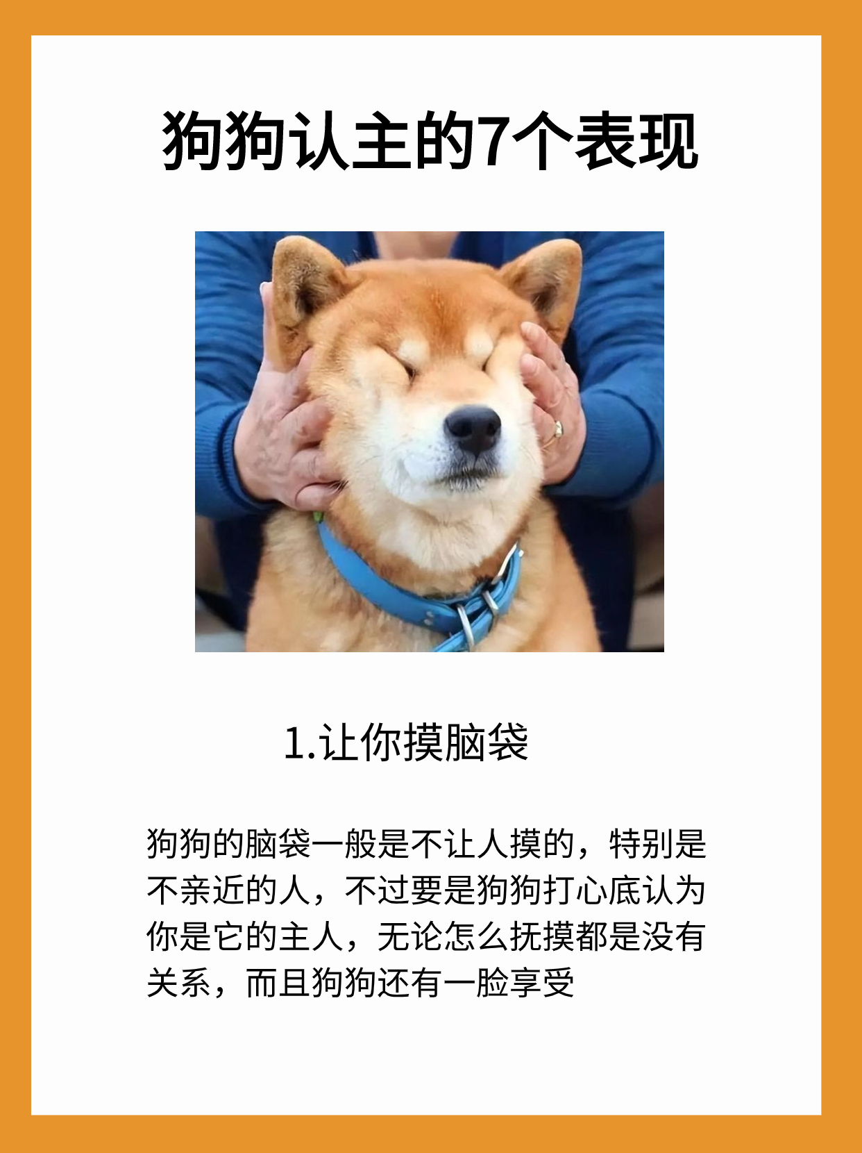 看点 第10页
