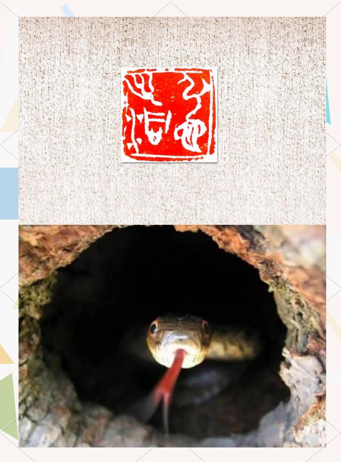 走马观花是什么生肖打一肖