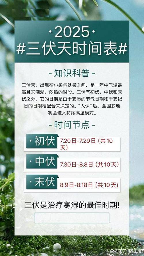 三伏天是几号开始几号结束2021