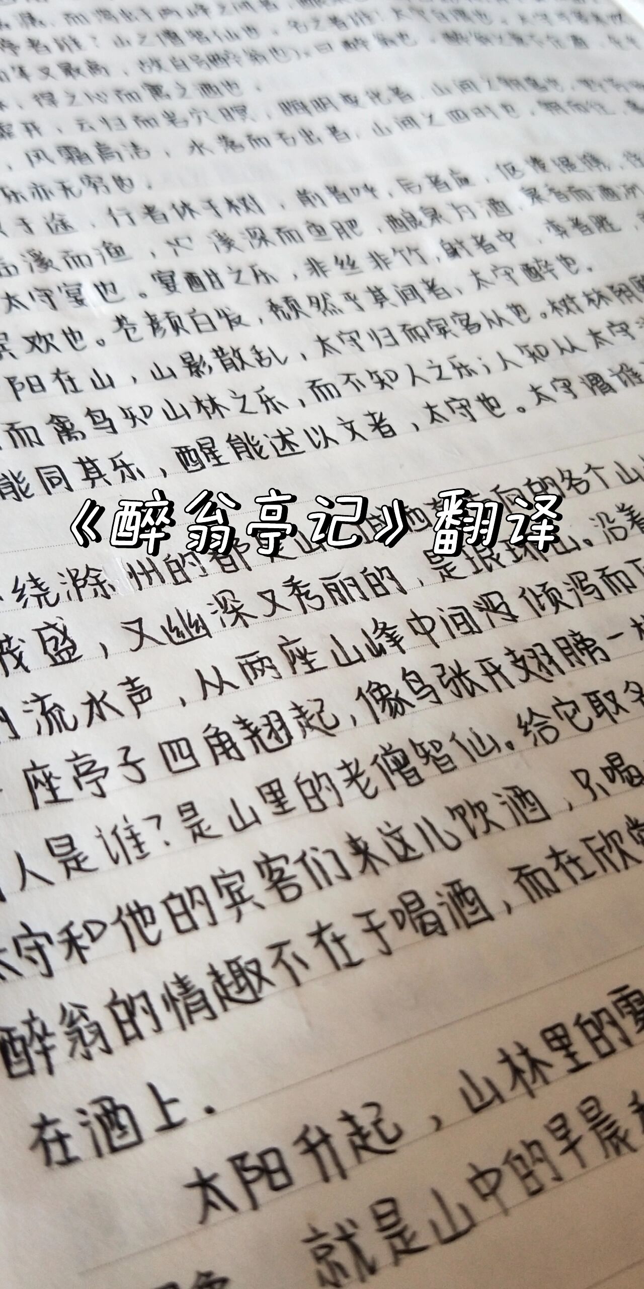 醉翁亭记翻译图片