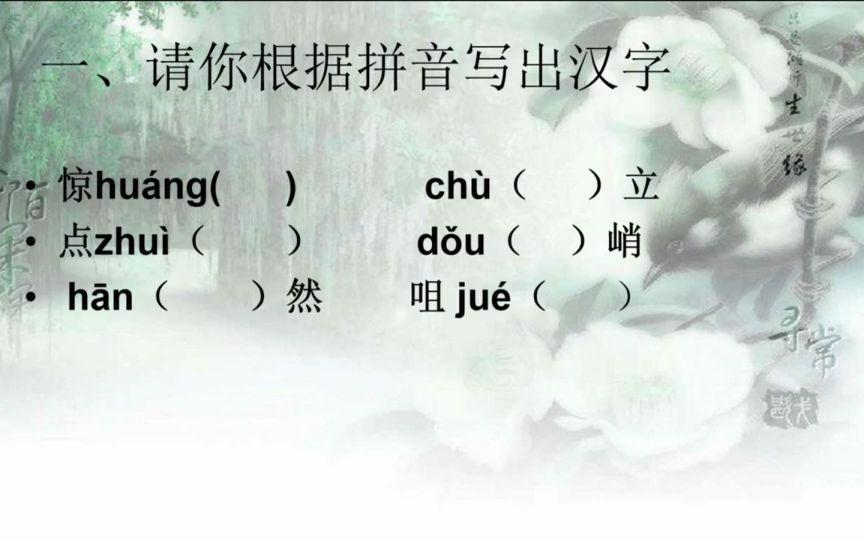 专业视频正版