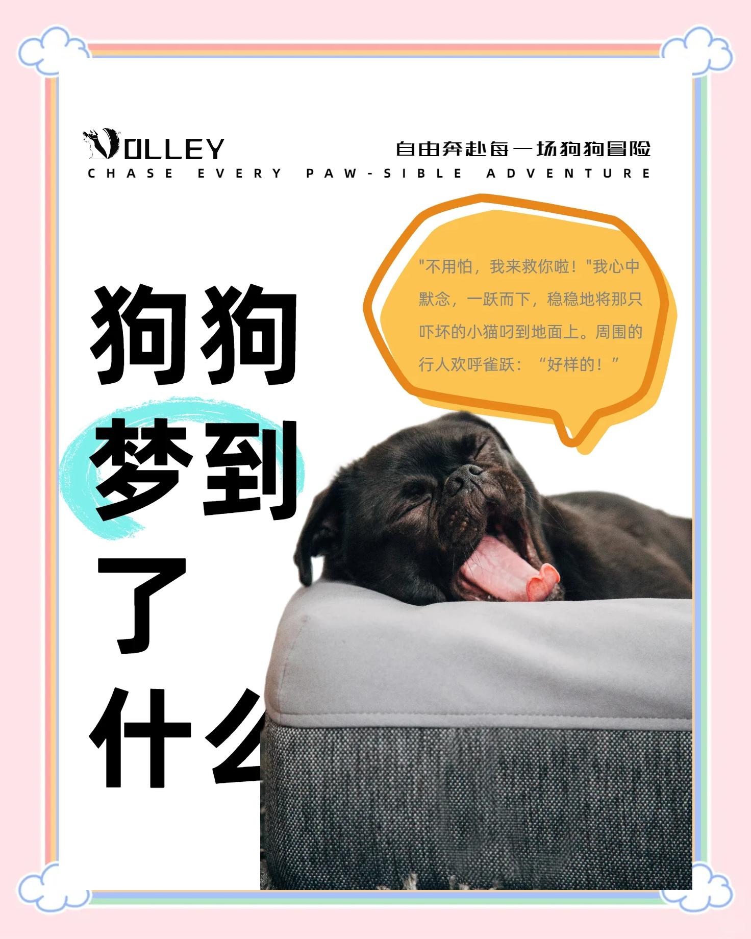 做梦梦到狗追我什么意思啊