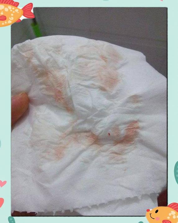 下载美食免费