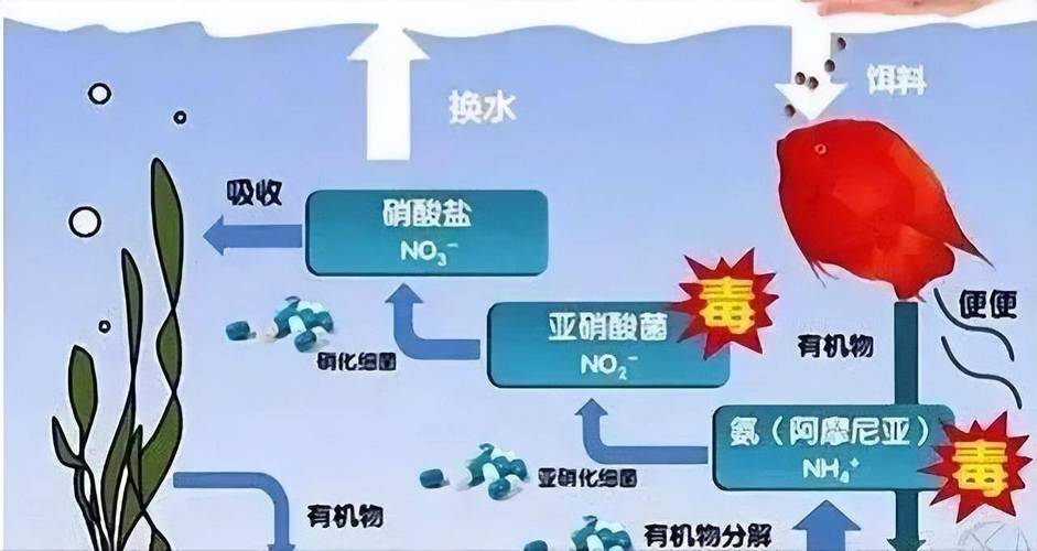 二氧化氮与水反应转移电子数