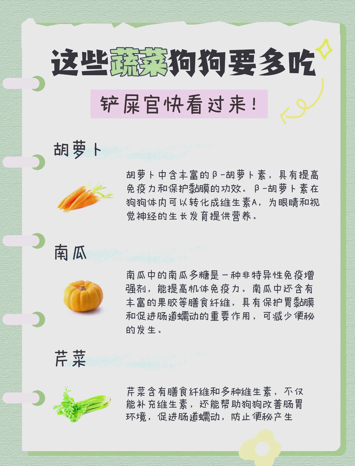 狗狗适宜吃的蔬菜及水果