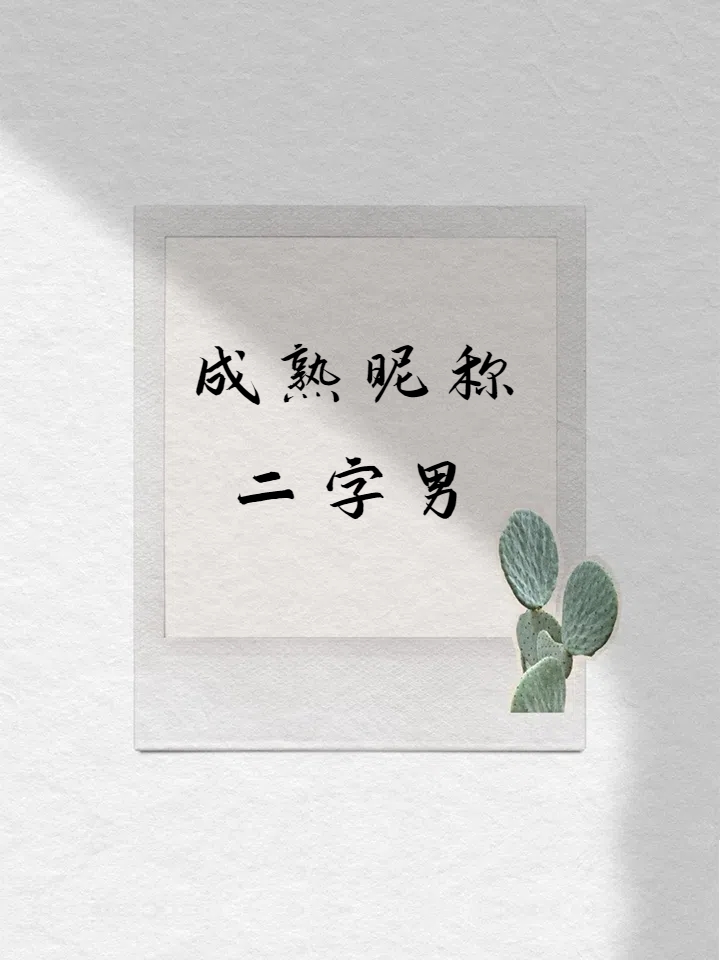 80后男人高端大气上档次语录