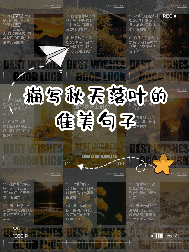 描写秋天的句子摘抄 附作者
