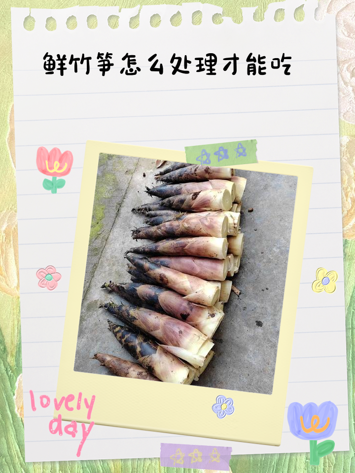 获取博客在线