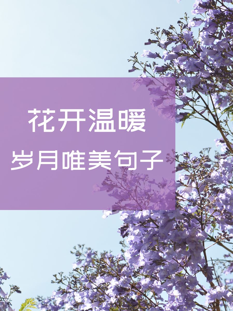 岁月静好的唯美句子图片