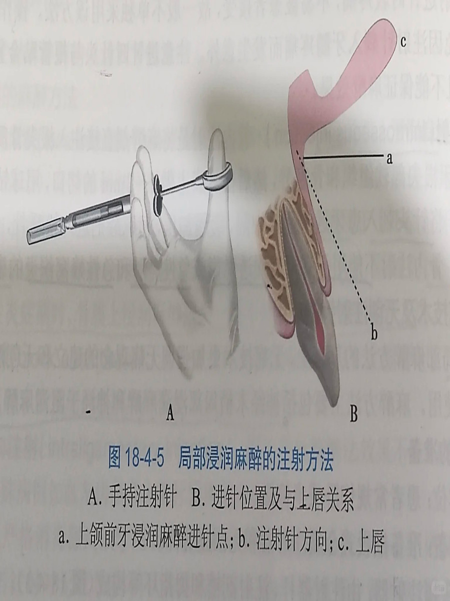 麻醉学专业学什么课程