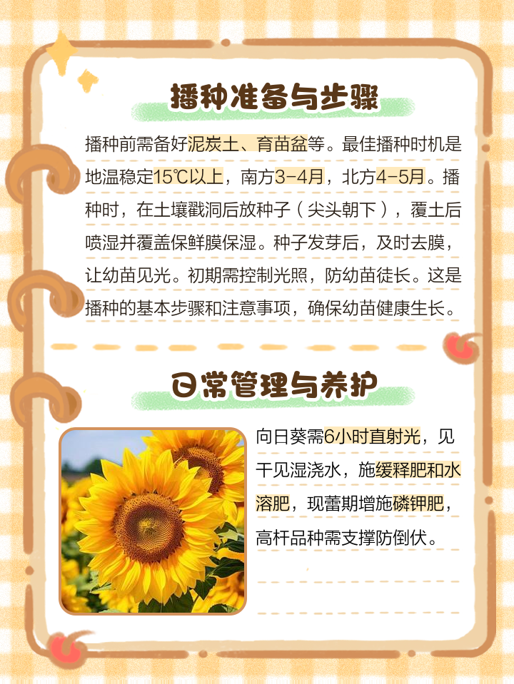 向日葵的传播种子方式