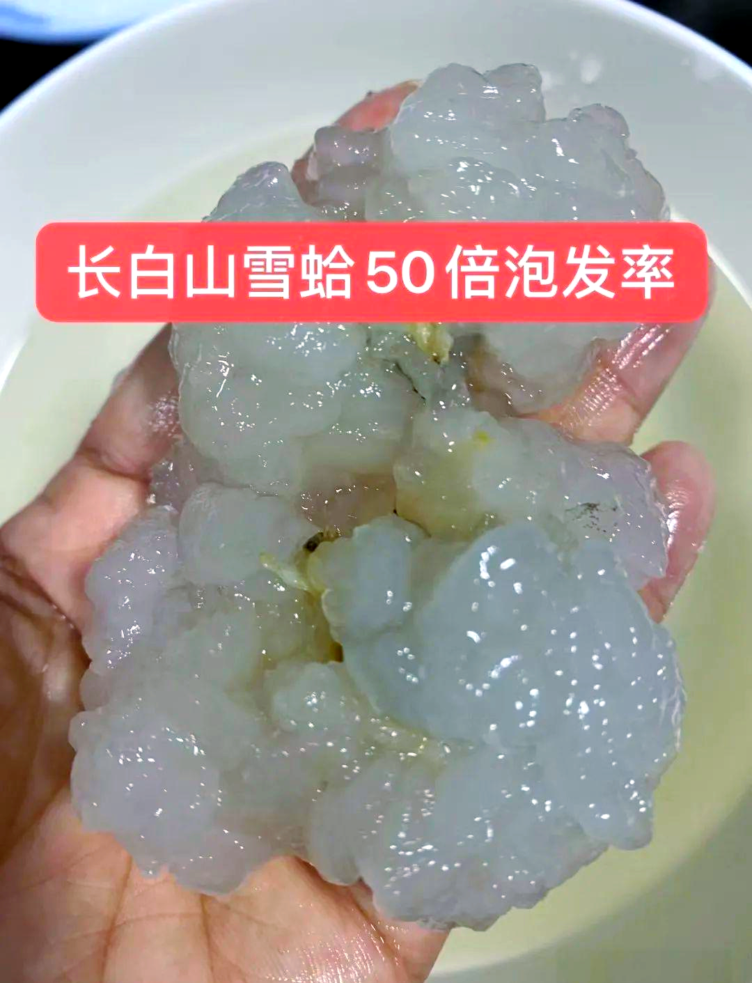 雪蛤是什么东西有什么功效