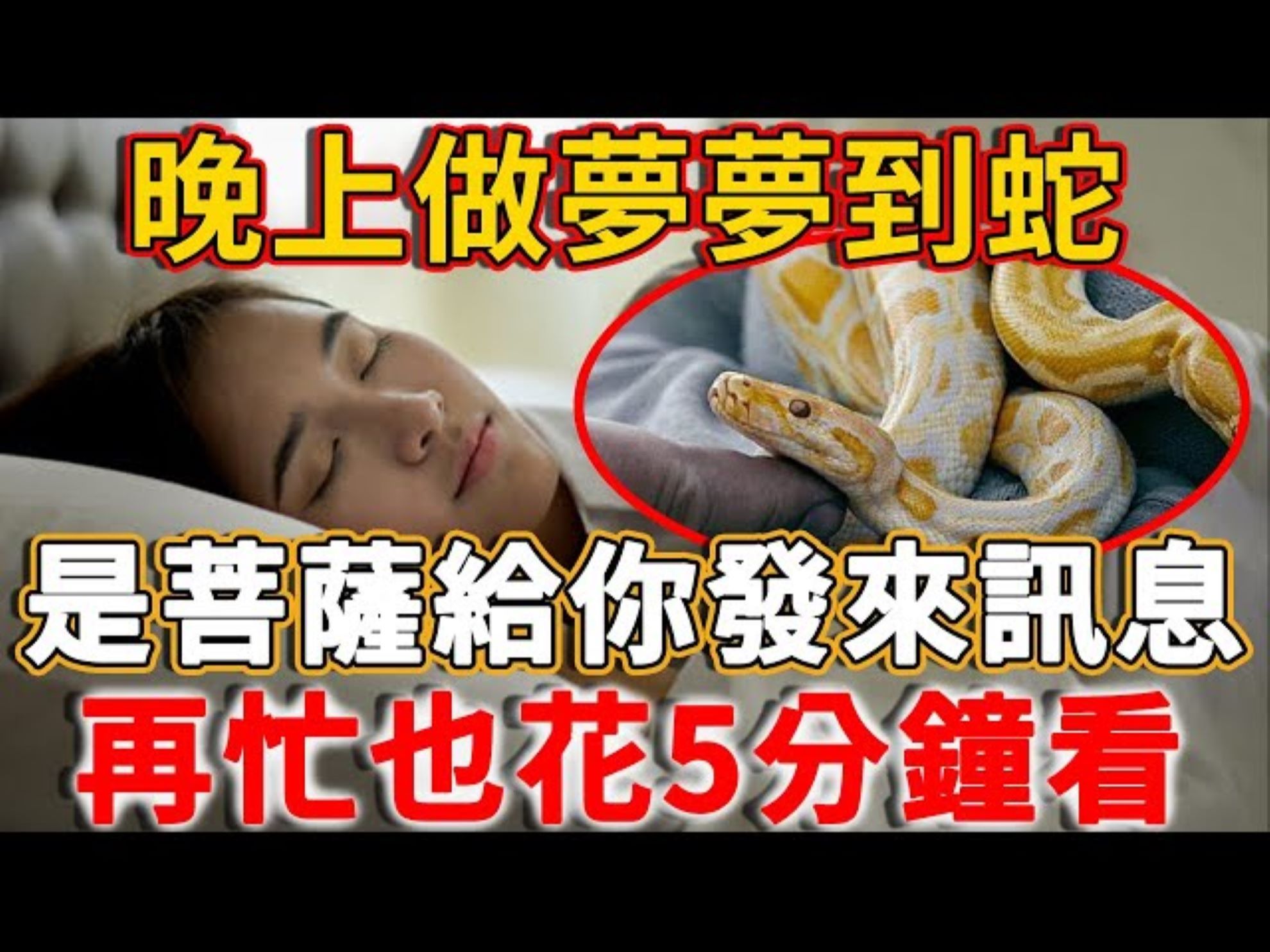 周公解梦女人梦到蛇是什么意思