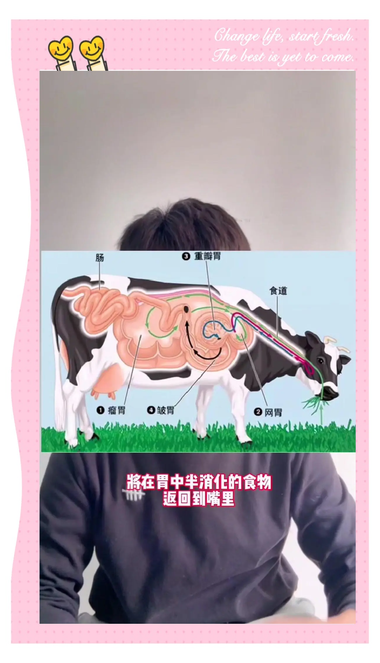 刍怎么读拼音是什么字