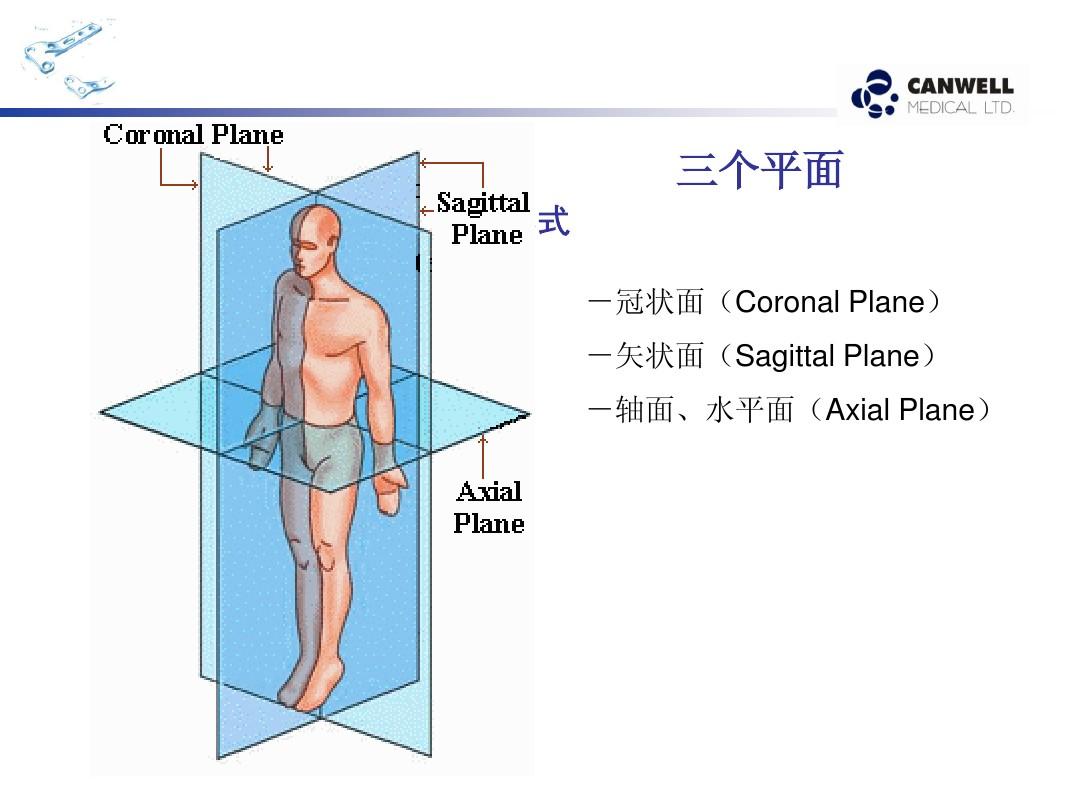 冠状轴和矢状轴示意图视频