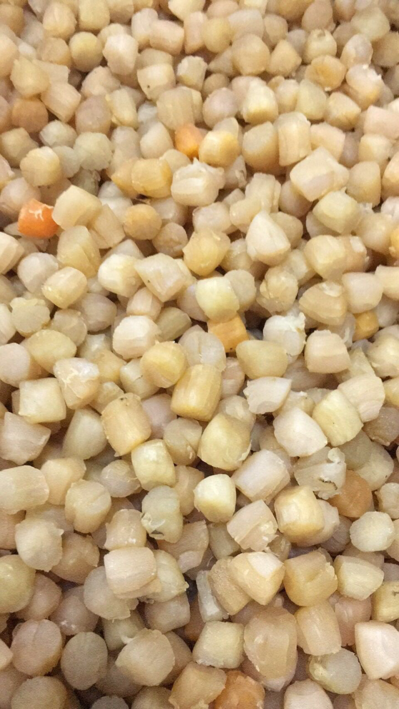 干贝是什么东西