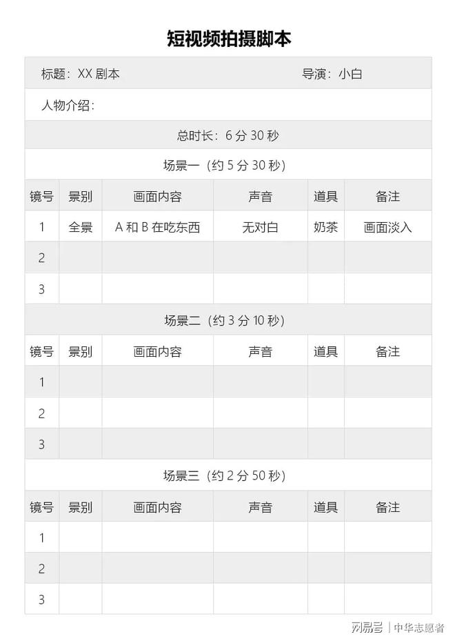 视频格式介绍详细