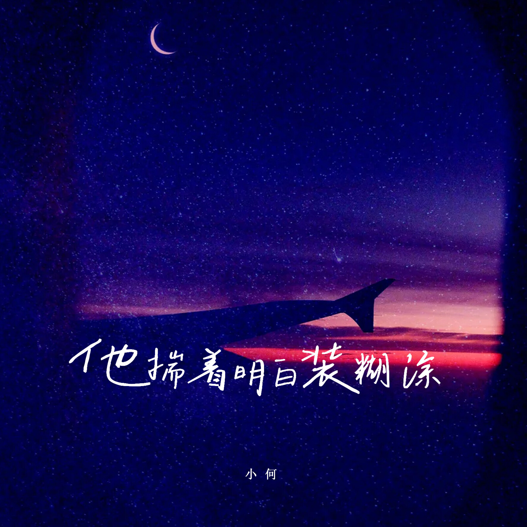 揣着明白装糊涂下一句怎么说