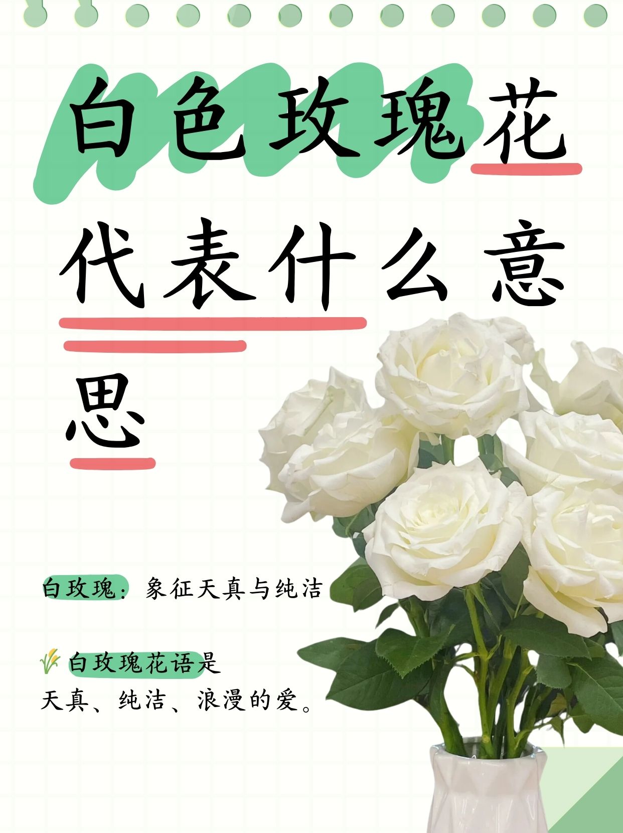 有哪些花的花语是关于爱情的