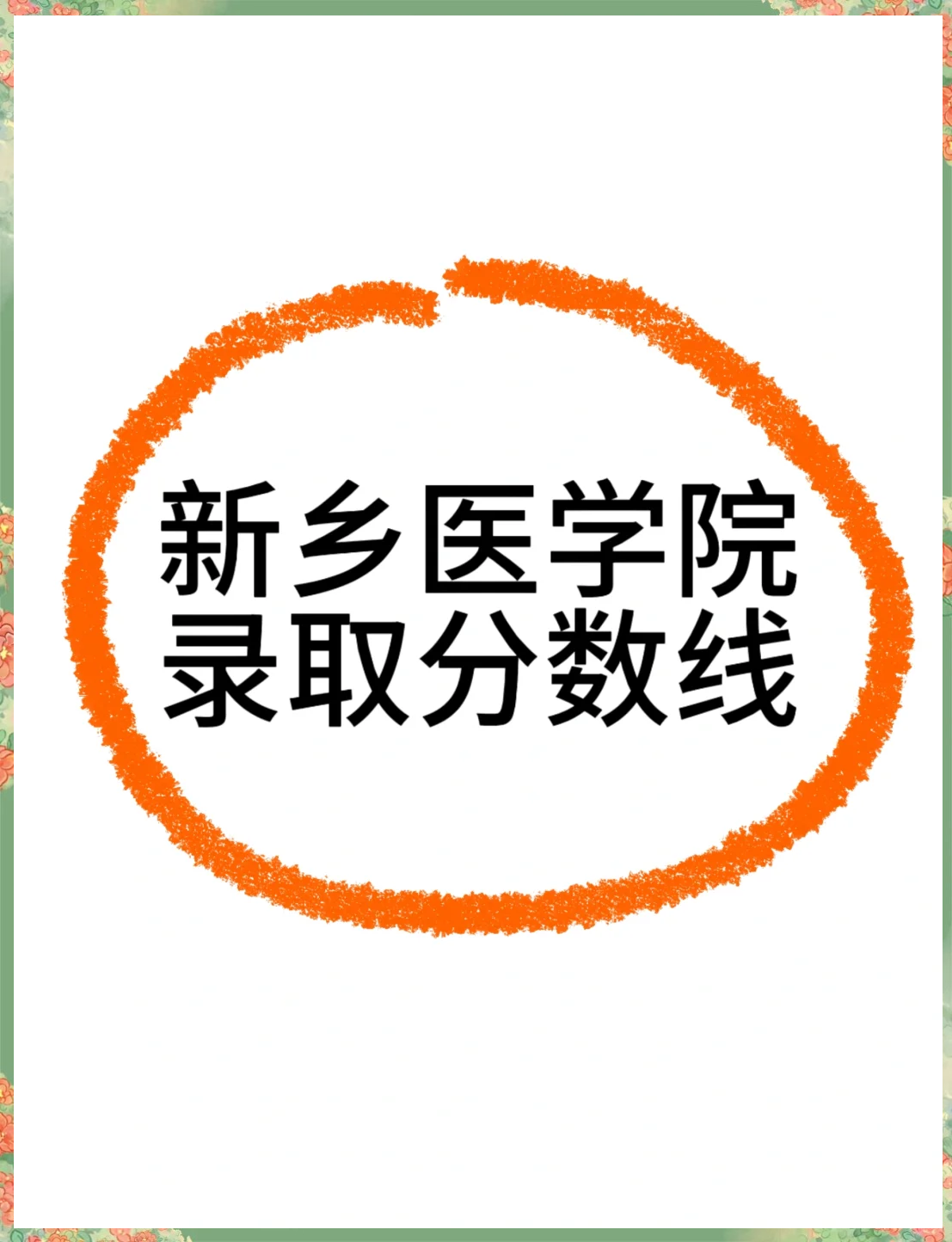 新乡医学院排名全国第几位