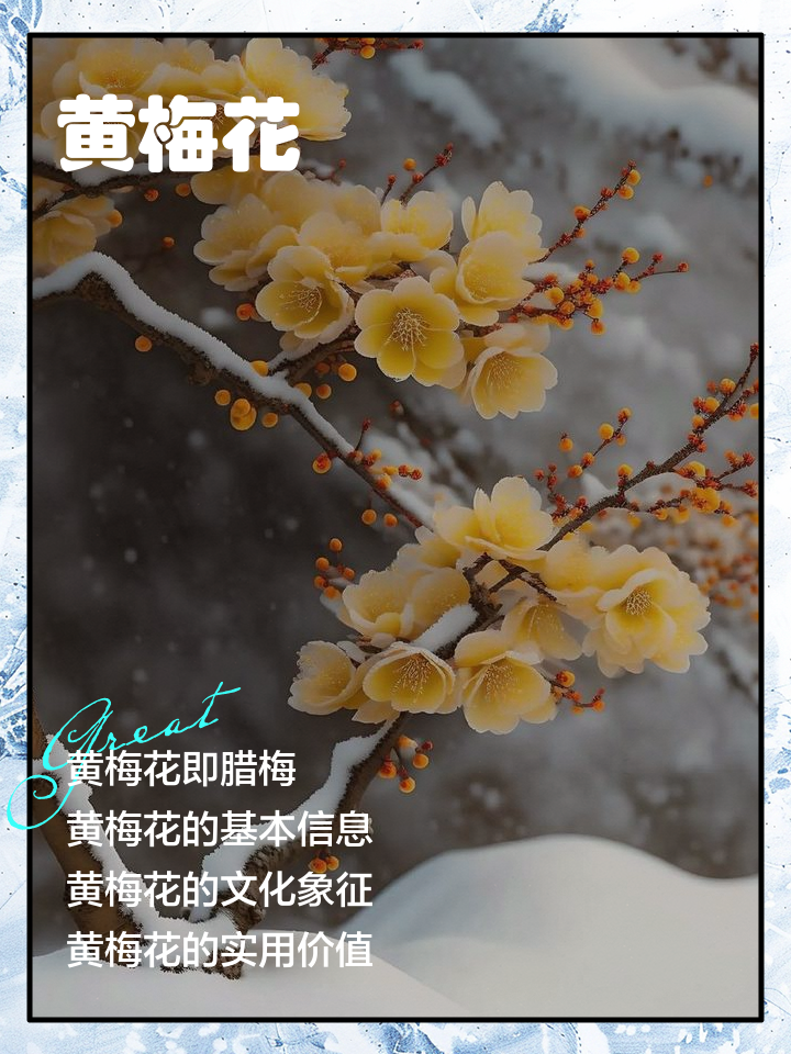 黄梅季节什么时候开始什么时候结束