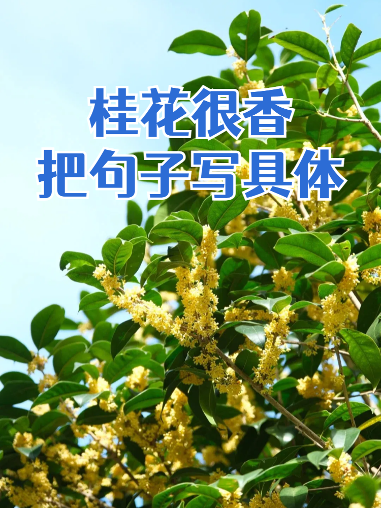 2025年9月10日 第2页