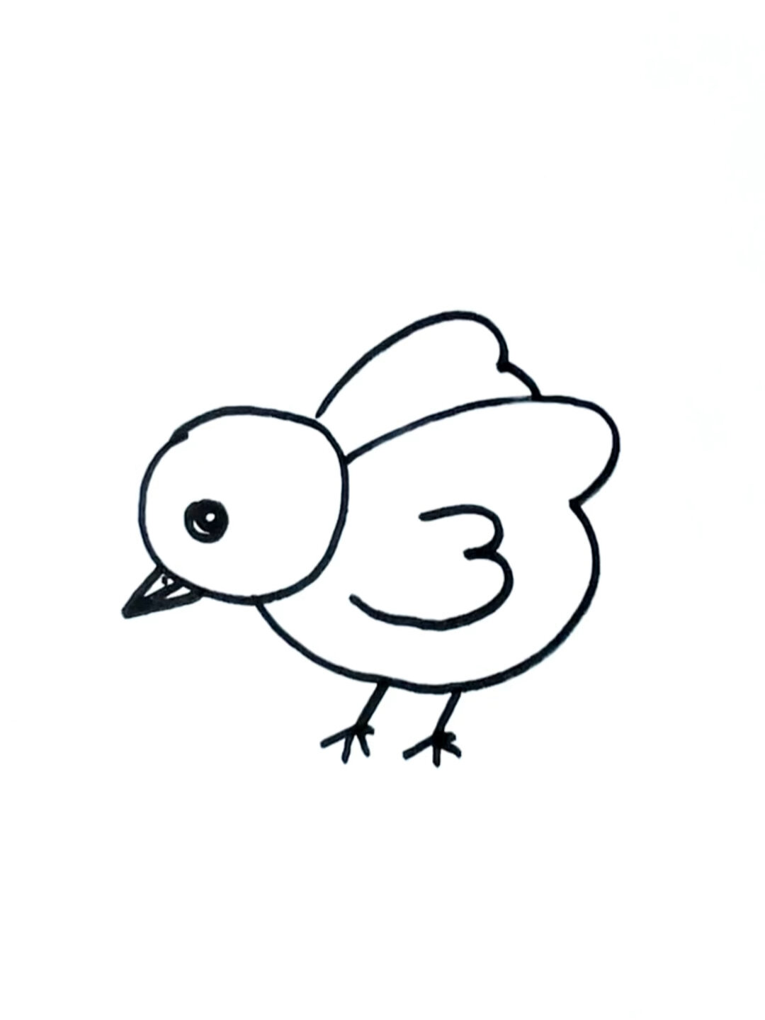 小鸡简笔画怎么画