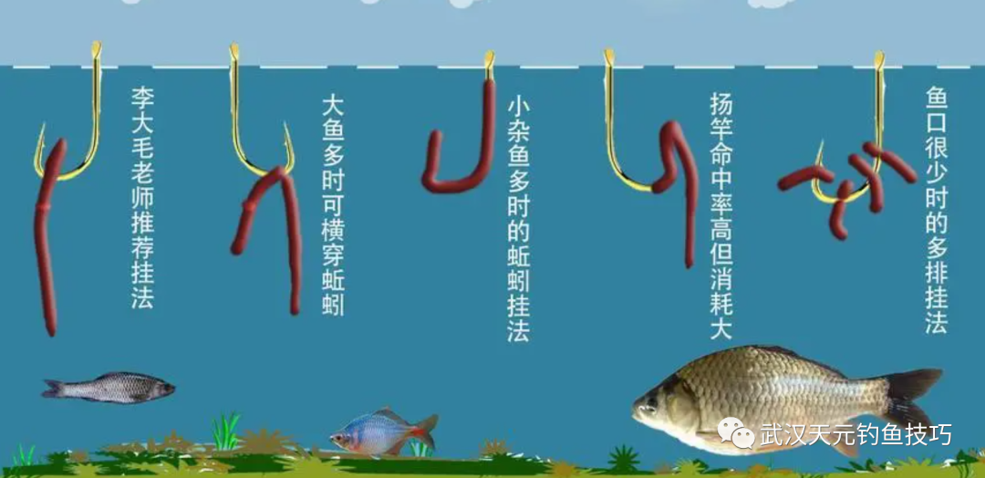 野钓鲫鱼用蚯蚓如何调漂