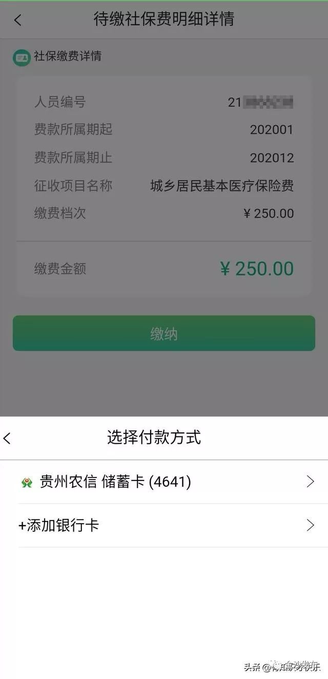 网上交农村合作医疗保险显示无登记记录