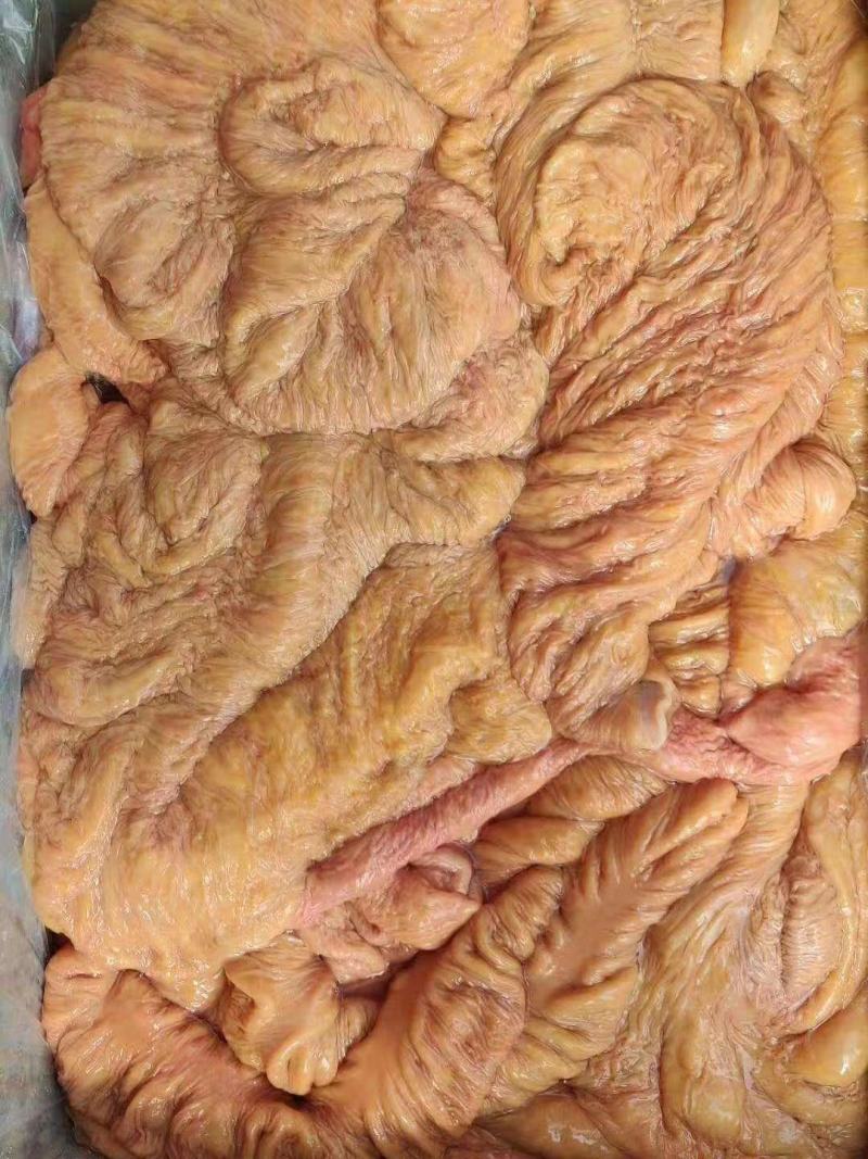 驴板肠是什么动物的那个部位