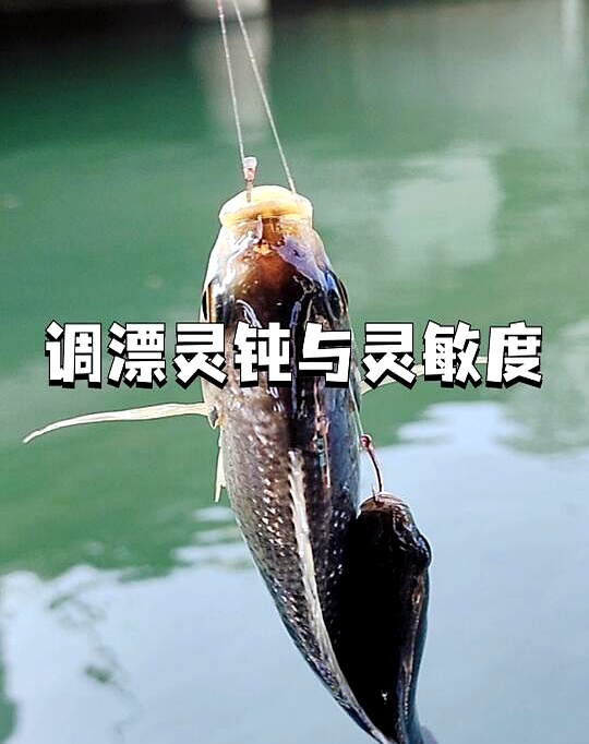 悬坠钓法又称什么钓法