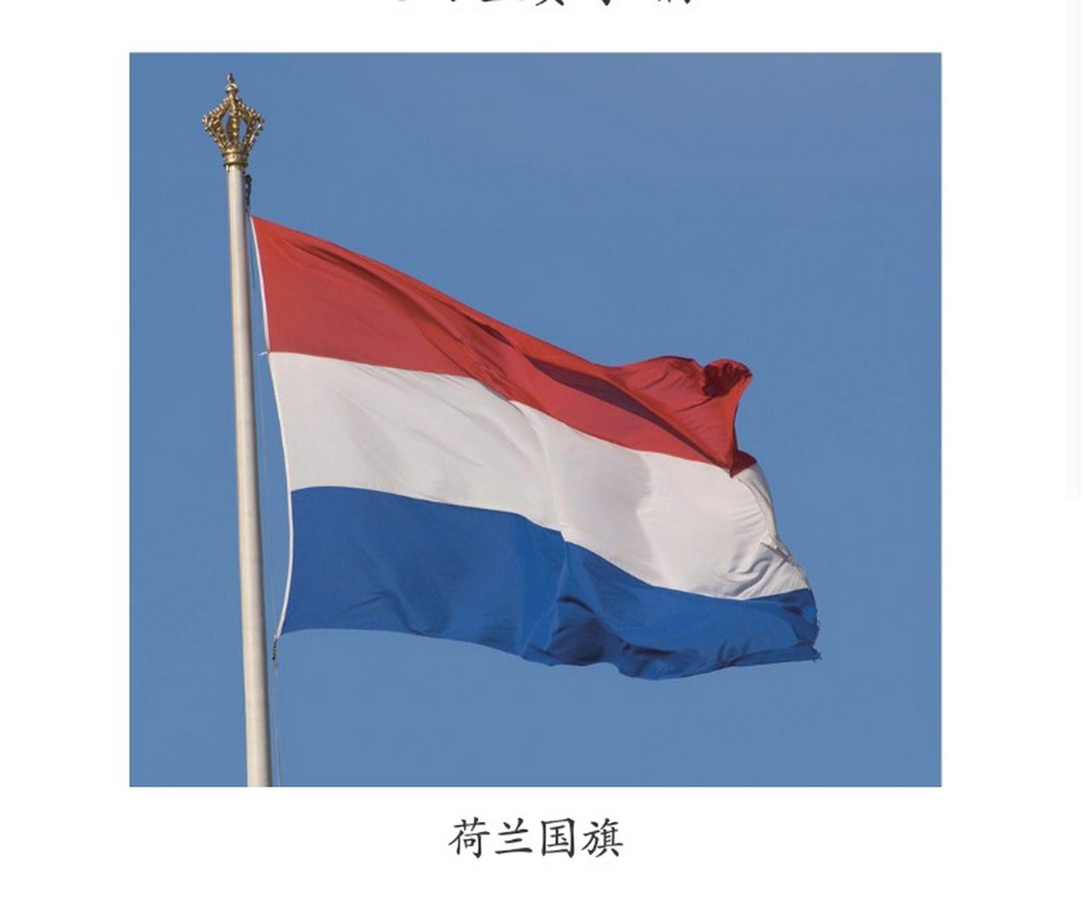红绿白三色国旗是哪个国家的图片