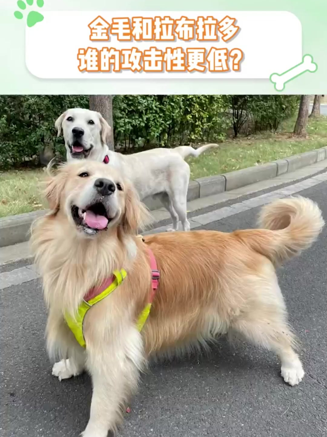 2025年9月11日 第50页