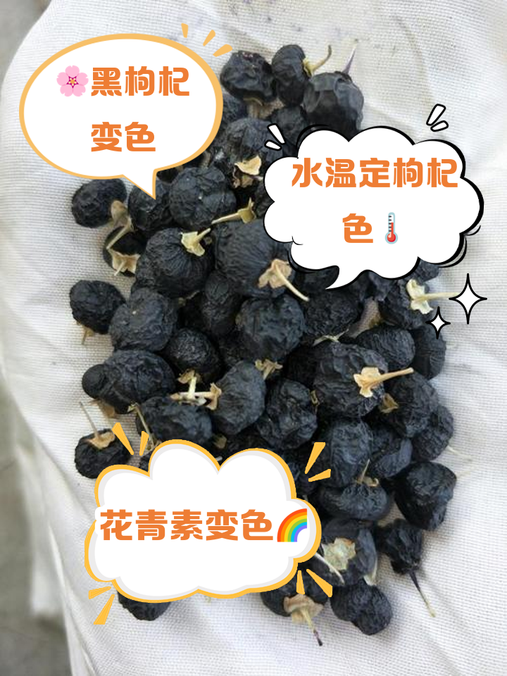 假黑枸杞泡水后的图片 拉丝