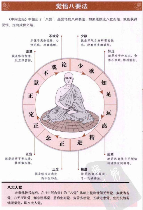 什么叫禅定模式