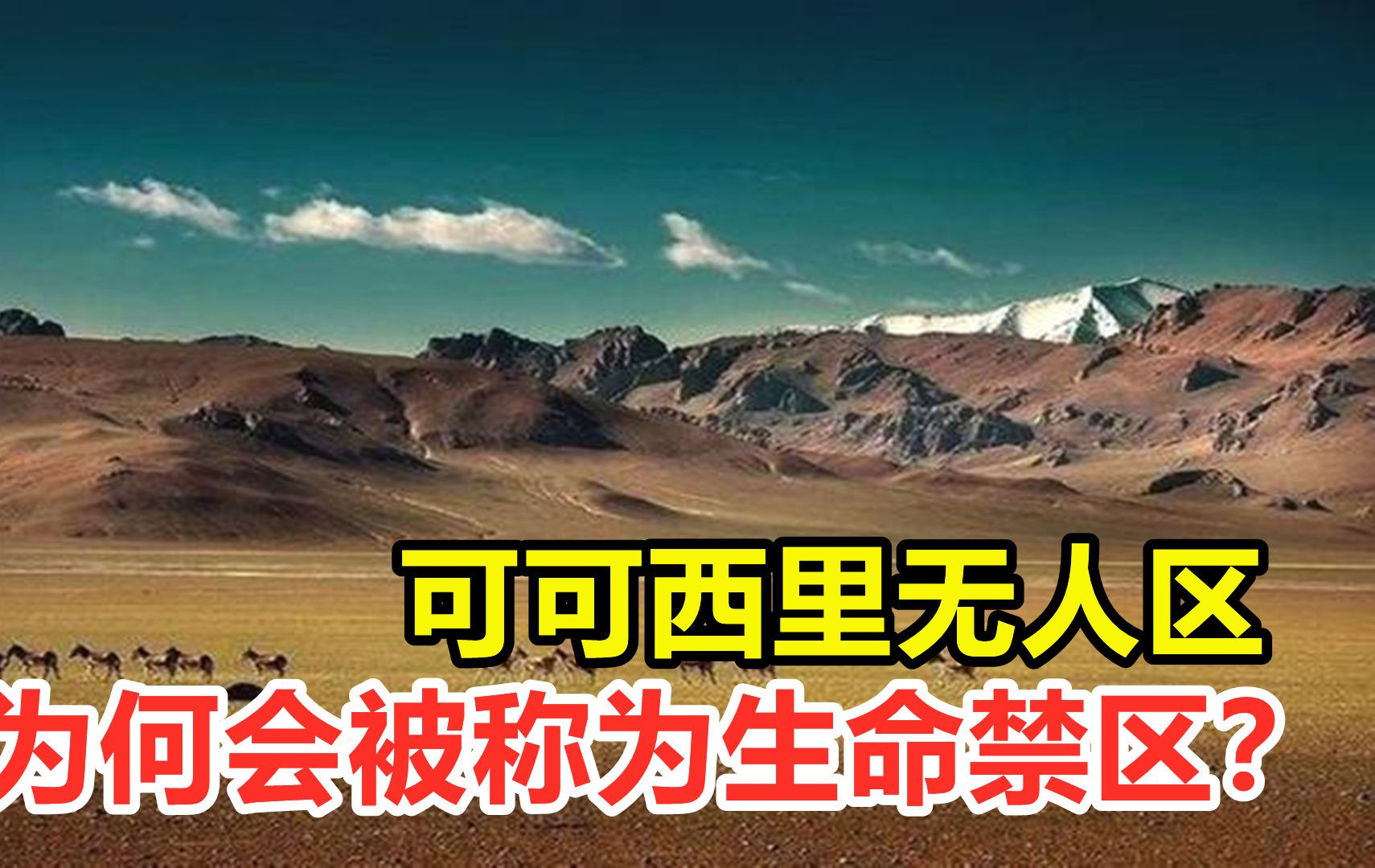 可可西里原型事件照片