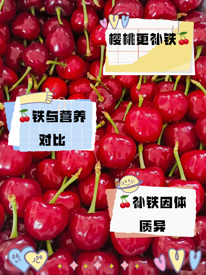 樱桃和车厘子区别的功效与作用