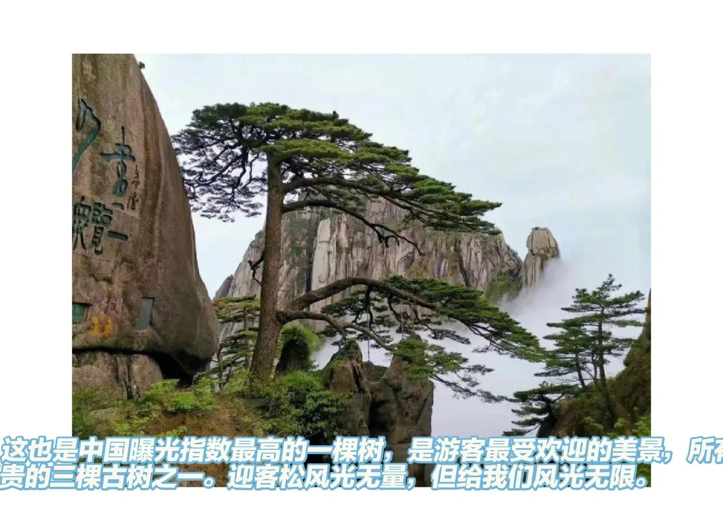 黄山简介资料大全