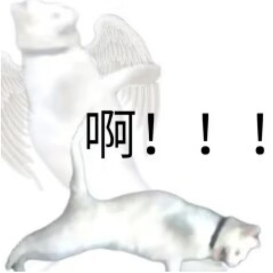 淦是什么意思梗出处 视频