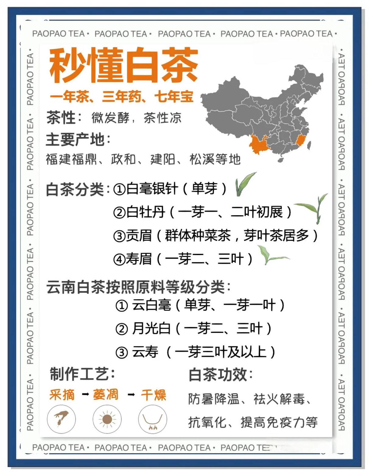 茶叶的品种有哪些品种名称