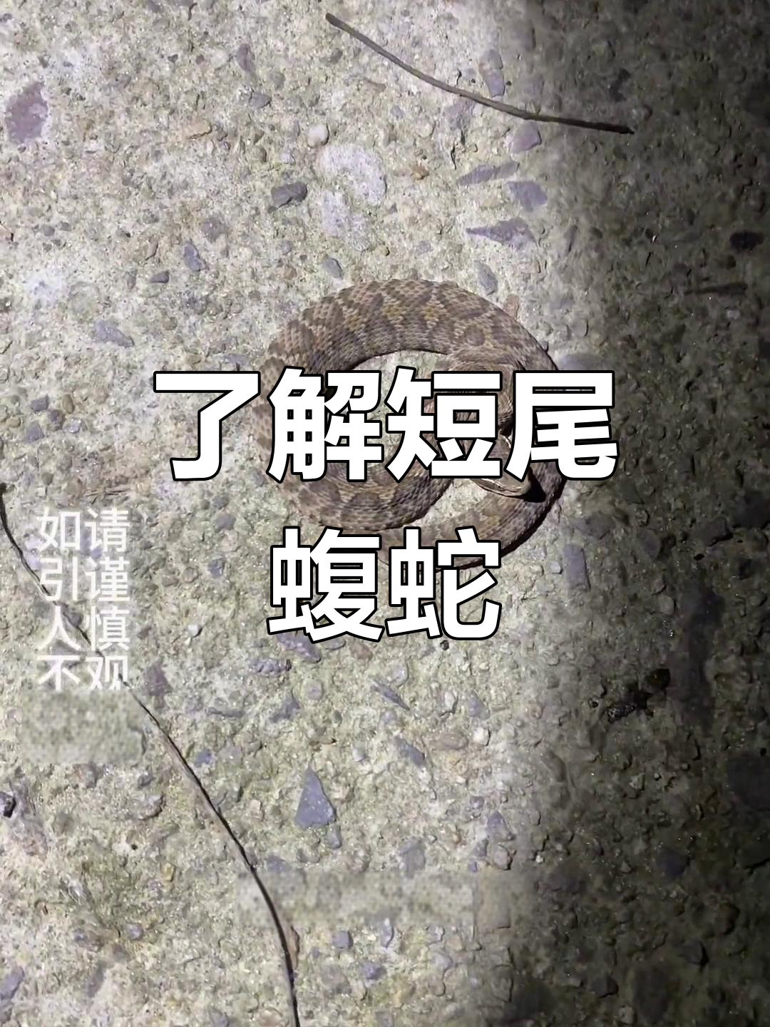四川烂草蛇咬了多久后打蛇毒血清