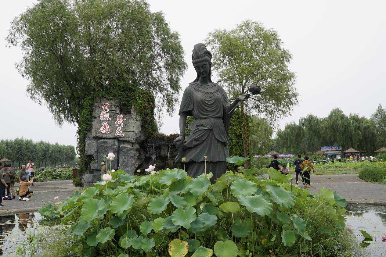 白洋淀什么时间去合适
