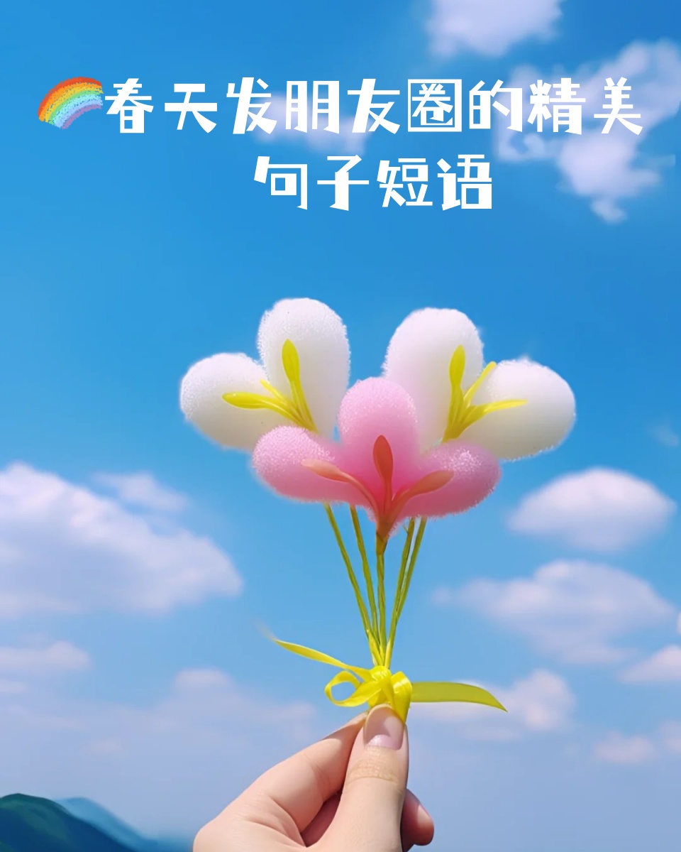 第207页