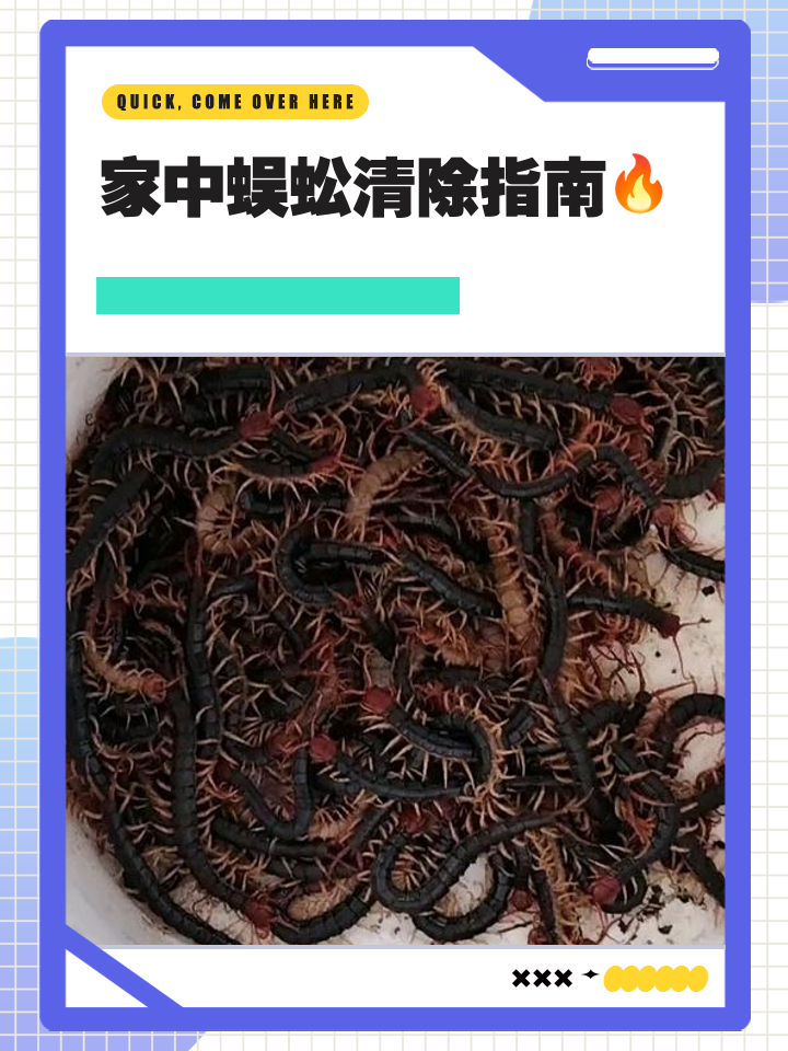 如何消灭蜈蚣的段子