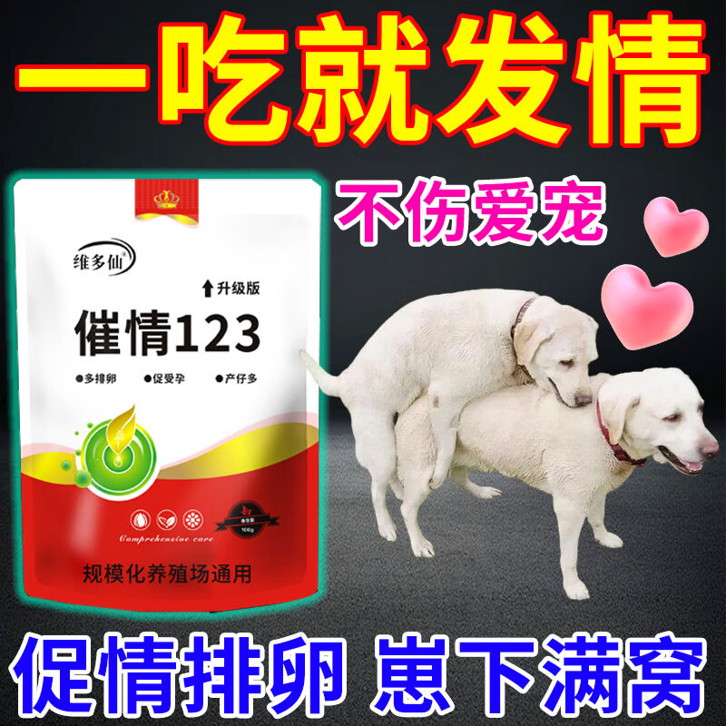 狗狗配种费多少钱一次