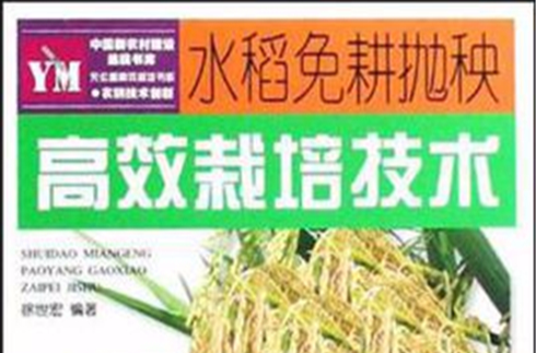 水稻免耕生产的注意事项